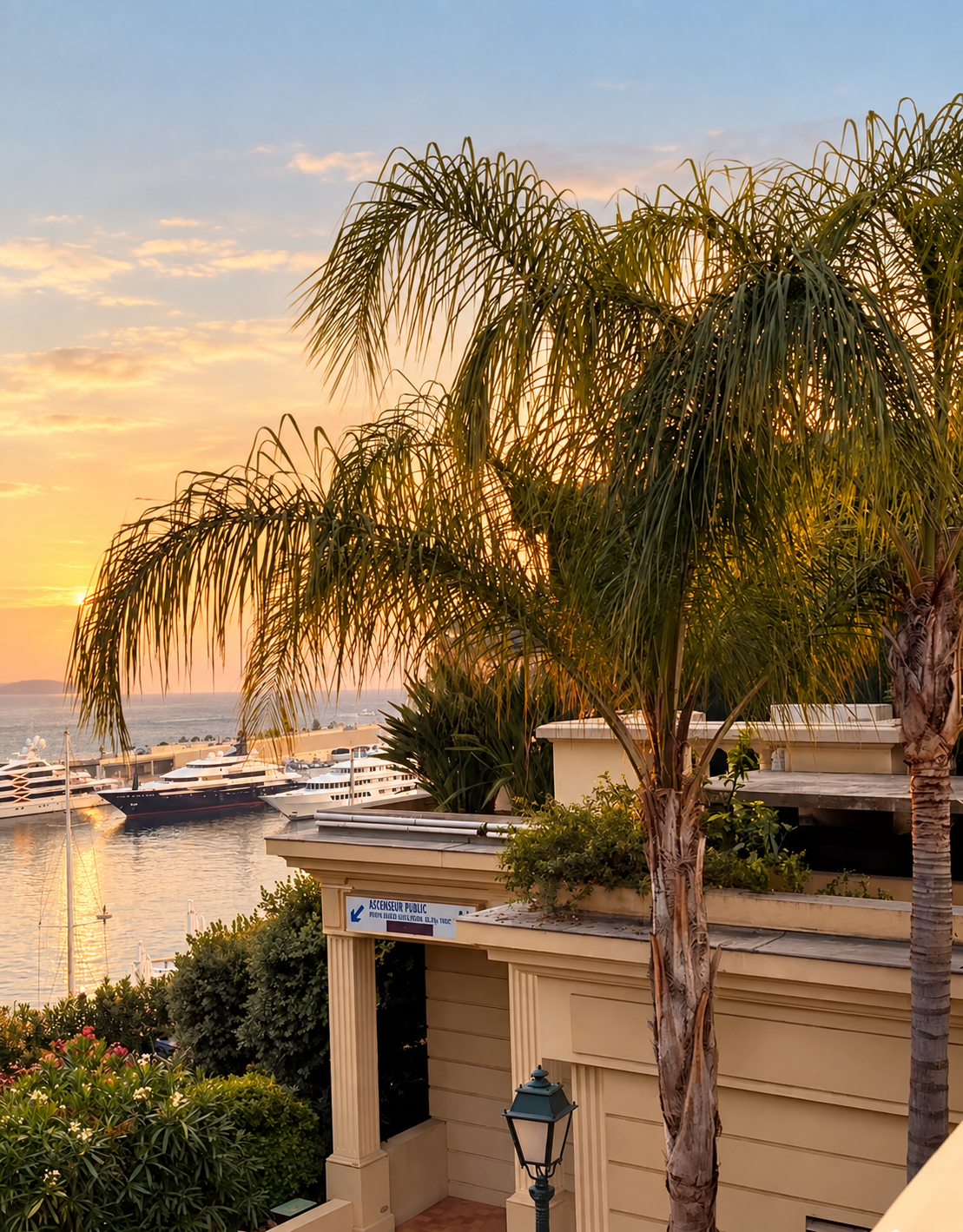 Yachts in Monte Carlo harbour, framed by palm trees at sunset